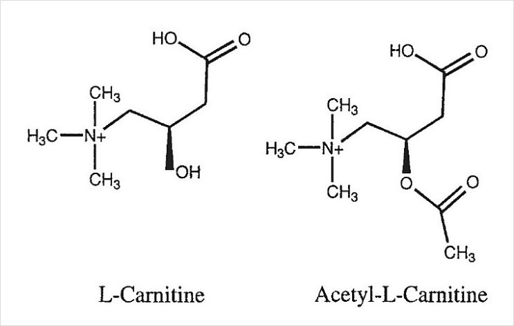l-carnitine  99%       L-    ?