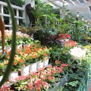 제주 다양한 꽃향기가 가득찬 실내관광지 제주여미식물원