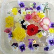 꽃 샐러드, 식용꽃 샐러드, 꽃 리코타 치즈 샐러드, 꽃 야채 샐러드