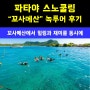 7월 해외여행지 추천 태국 파타야 스노쿨링 꼬사메산 녹투어 후기!