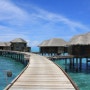 몰디브 바카루 리조트 (Maldives Vakkaru Resort)