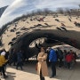 [결혼1주년] 시카고 : 밀레니엄파크