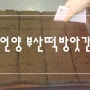 울산 언양 방앗간 추천 :) 부산떡방앗간 쑥떡 만들기