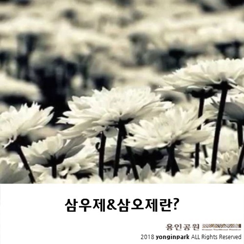 삼우제/삼오제란 무엇을 뜻할까? : 네이버 블로그