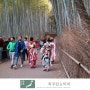 교토 여행, 아라시야마 치쿠린 대나무숲