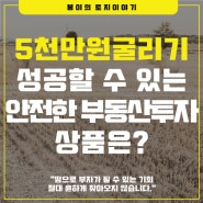 5천만원굴리기 성공할 수 있는 안전한 부동산투자 상품은?