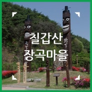 칠갑산 장승 마을로 유명한 :: 장곡리 마을