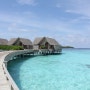 몰디브 밀라이두 리조트 (Maldives Milaidhoo Resort)