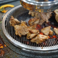 대암정 닭숯불구이 광주 두암동 맛집_닭코스요리