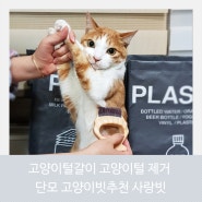 고양이털갈이 고양이털 제거 좋은 단모 고양이빗추천 사랑빗