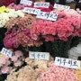 강남 고속터미널 꽃시장 어버이날 카네이션