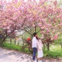 서산 문수사 겹벚꽃 봄나들이
