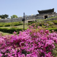 금강자전거길 자전거여행,유성-공주석장리박물관-금강미르섬 공산성