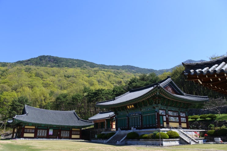 대구여행, 비슬산 자락에 있는 암자 
