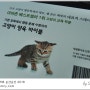 [적묘의 독서]고양이처럼생각하기,동물행동컨설턴트,행동학에서 본 고양이양육 대백과, 고양이책