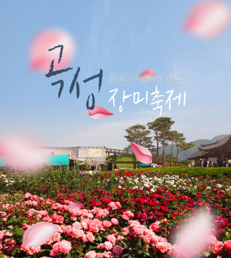 5월 꽃축제 서울 출발 곡성 장미축제 버스여행! : 네이버 블로그