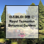 <타즈매니아 여행> ④ 호바트 보타니컬 가든ㅣ호바트 여행ㅣ호바트 일상ㅣRoyal Tasmanian Botanical Gardens
