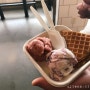 [미국남부여행] 12. Day 3: 테네시 내슈빌 맛집 - 제니스 아이스크림 | Jeni's Splendid Ice Creams