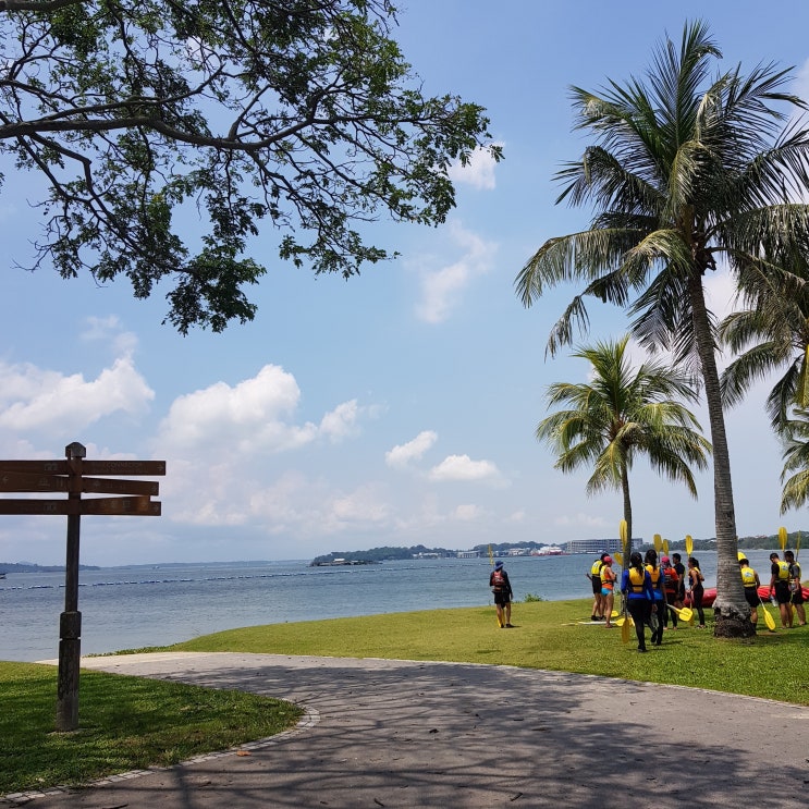 [싱가폴 생활기] 싱가포르 D+42 / 자전거 여행, 싱가폴 공원, 파시르 리스 파크 Pasir Ris Park : 네이버 블로그