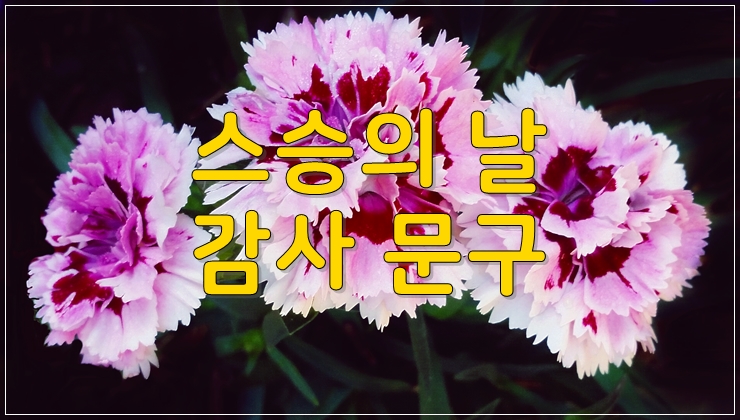 스승의날 문구 감사인사로 좋을 BEST10 : 네이버 블로그