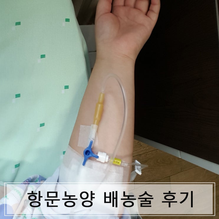 여자 항문농양 배농술 후기~ : 네이버 블로그