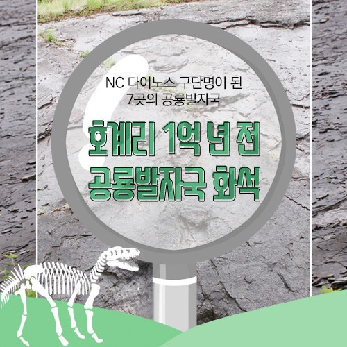 된 7곳의 공룡발자국 탐방! 1억 년 전 호계리 공룡발자국 화석