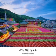 [부산여행] 부처님오신날 삼광사 연등축제