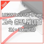 LOGAN Devil USB-C type 고속충전케이블 리뷰