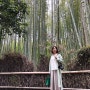 교토여행 아라시야마 대나무숲 힐링하고 왔어요!!!