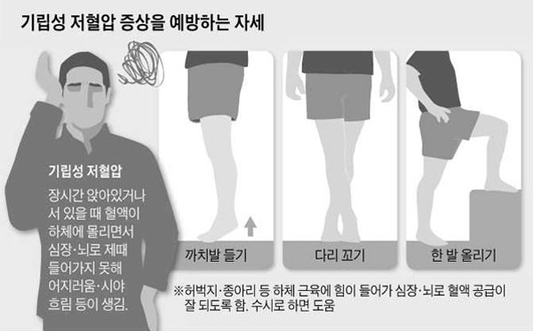 저혈압에 좋은 음식, 차 & 저혈압에 좋은 운동 : 네이버 블로그