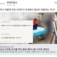 홍익대학교 워마드 남성 누드모델 사진 유포