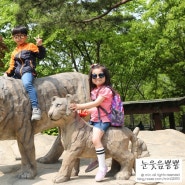 아이들과가볼만한곳 서울대공원 동물원