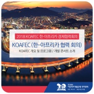 2018 KOAFEC 한-아프리카 경제협력회의 및 개발 콘서트