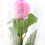 메세지 플라워-에쿠우스 공연축하 배우님들 꽃선물,글씨 새긴 생화 장미 한송이