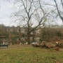 영국 런던 공원, 햄스테드 히스 Hampstead Heath