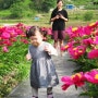 경남 함양 가볼만한 곳 상림공원 작약꽃