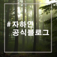 자하연 추모공원 공식블로그입니다.^^