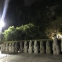 [봄제주여행기_5] 천지연폭포/새연교/장전리벚꽃축제
