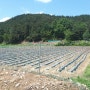 구미땅매매 구미시 선기동 558평 구미토지매매