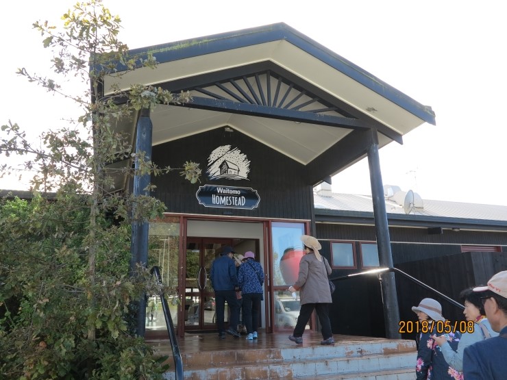 뉴질랜드&호주, 3)WAITOMO HOMESTEAD(와이토모 홈스태드)점심식사 : 네이버 블로그