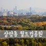 Autumnal Colors (1#) [ 서울 풍경 / 서울 풍경 명소 / 서울 풍경 좋은곳 / 서울 가볼만한곳 / 가을 단풍 / 하늘공원 월드컵공원 풍경 ]