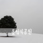 [D850] Olympic Park, ─公園 (1#) [ 서울 풍경 / 서울 풍경 명소 / 서울 풍경 좋은곳 / 서울 가볼만한곳 / 올림픽공원 나홀로나무 ]