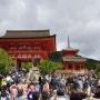 오사카 가족여행(오사카&교토&고베)