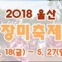 울산축제/울산대공원 장미축제 2018.5.18~5.27