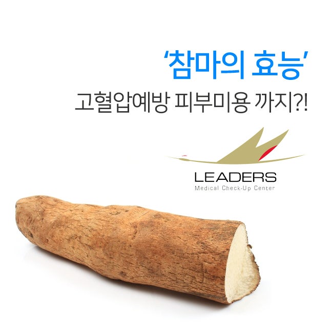 참마의효능 고혈압예방과 피부미용까지?! : 네이버 블로그