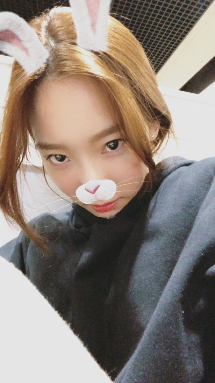태연 인스타그램 스토리 업데이트 : 네이버 블로그