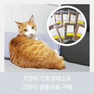 고양이 샘플사료 구매 블랑캣 기호성테스트 후기