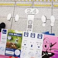 야나가와 뱃놀이 + 다자이후 티켓 구매방법.
