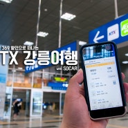 [강릉여행] 코레일 369 할인으로 떠나는 KTX 강릉여행