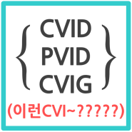 [CVID, CVIG, PVID] 헷갈리는 CVI~ 시리즈들 정리!